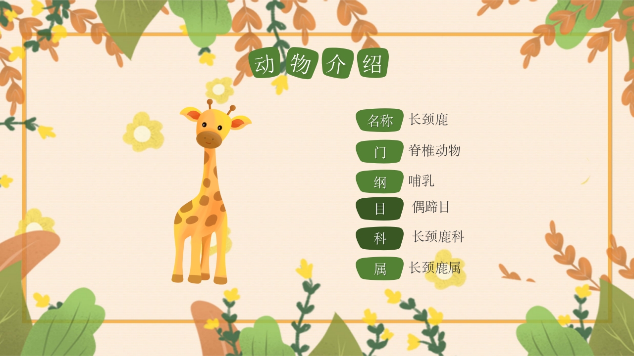 动物介绍动物分类PPT课件18