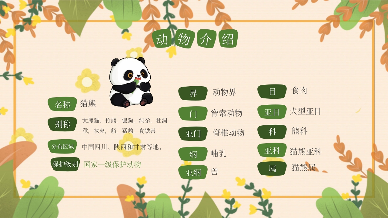 动物介绍动物分类PPT课件19