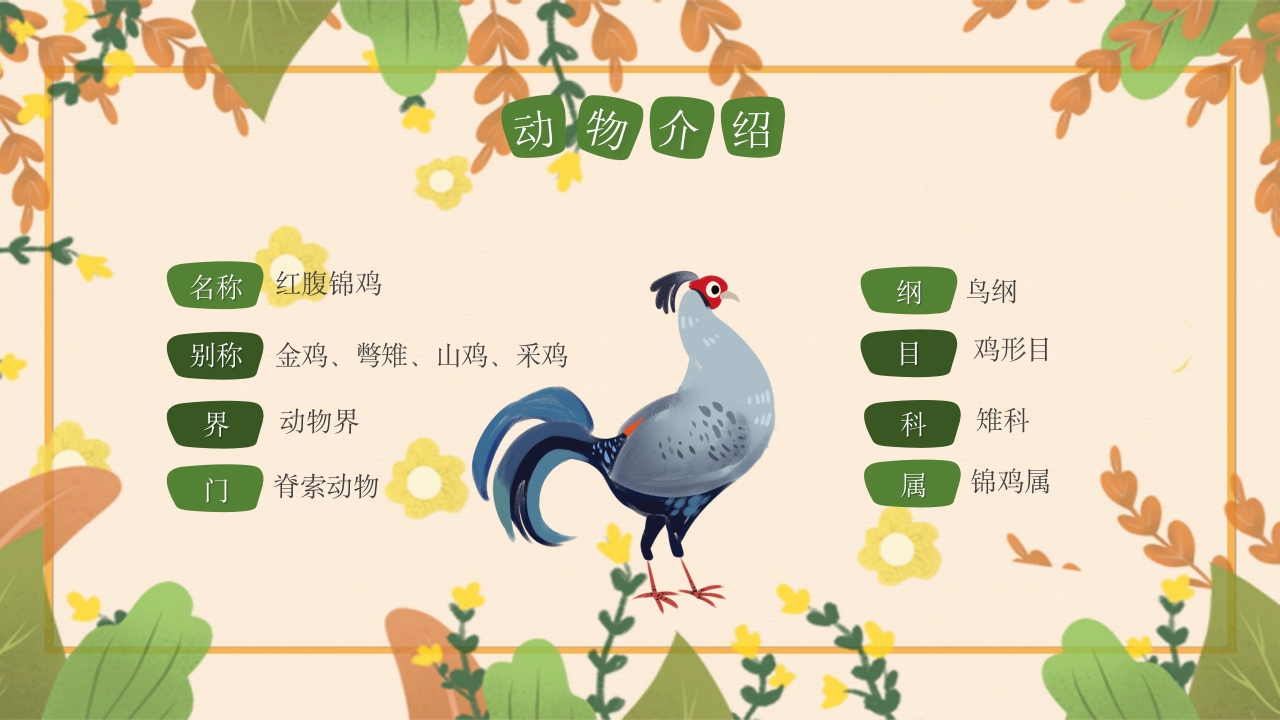 动物介绍动物分类PPT课件20