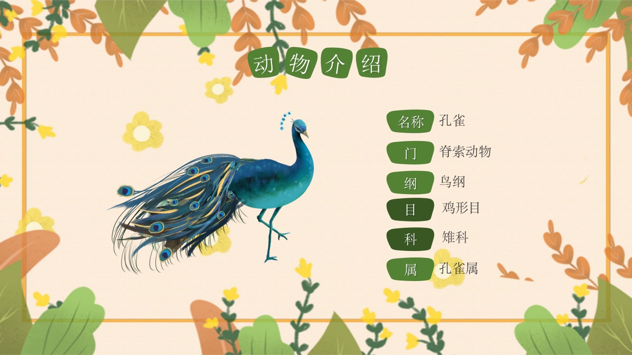 动物介绍动物分类PPT课件21