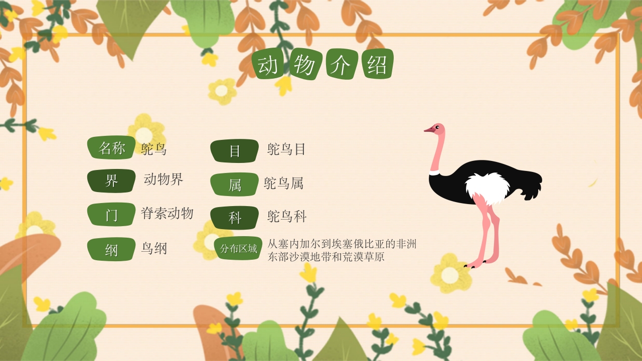 动物介绍动物分类PPT课件22