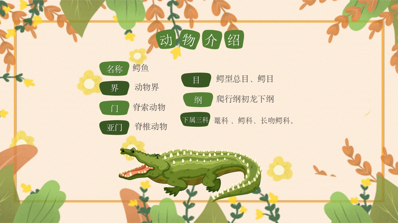 动物介绍动物分类PPT课件23