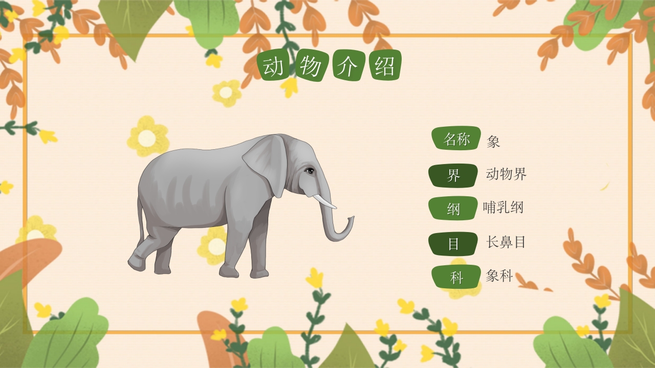 动物介绍动物分类PPT课件25