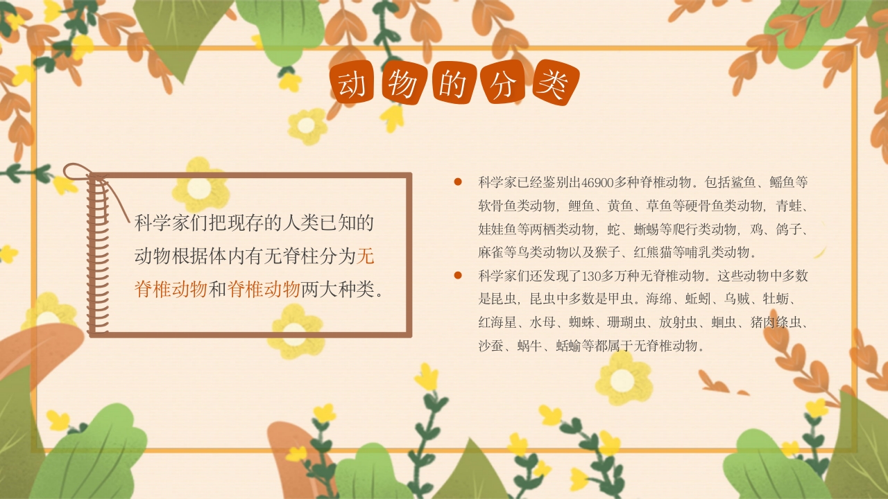 动物介绍动物分类PPT课件5