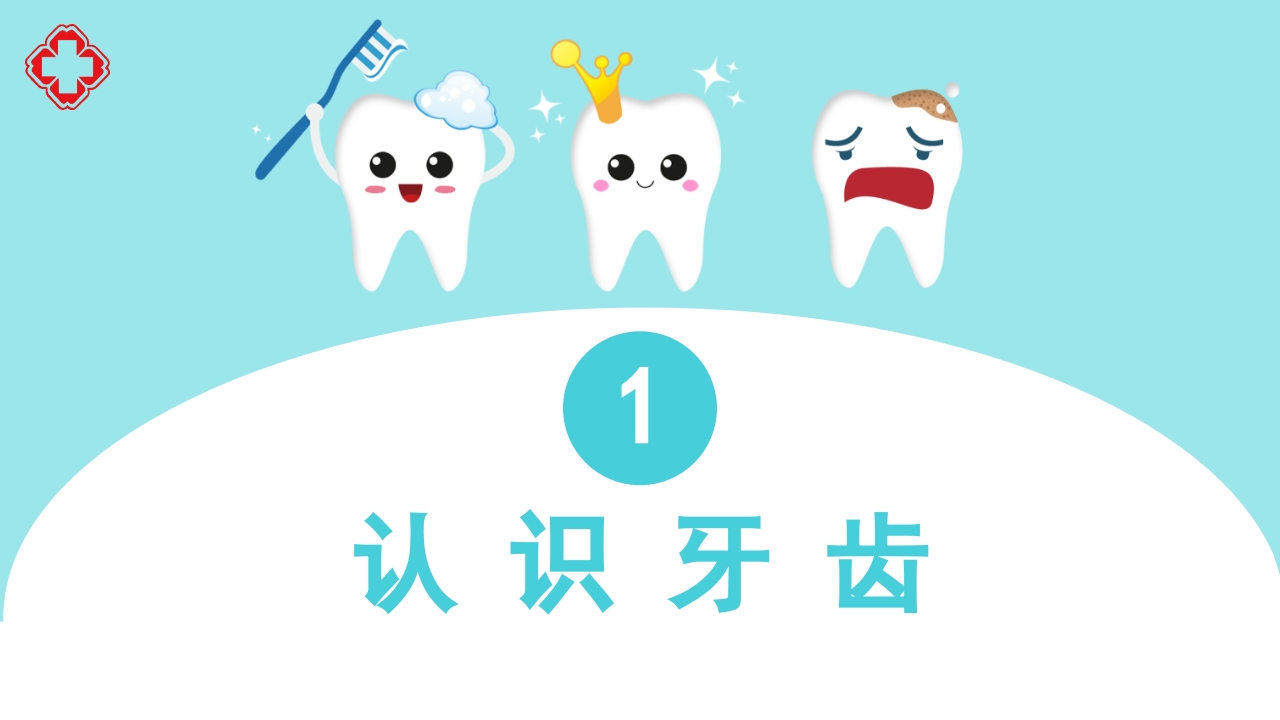口腔健康知识讲座PPT课件4