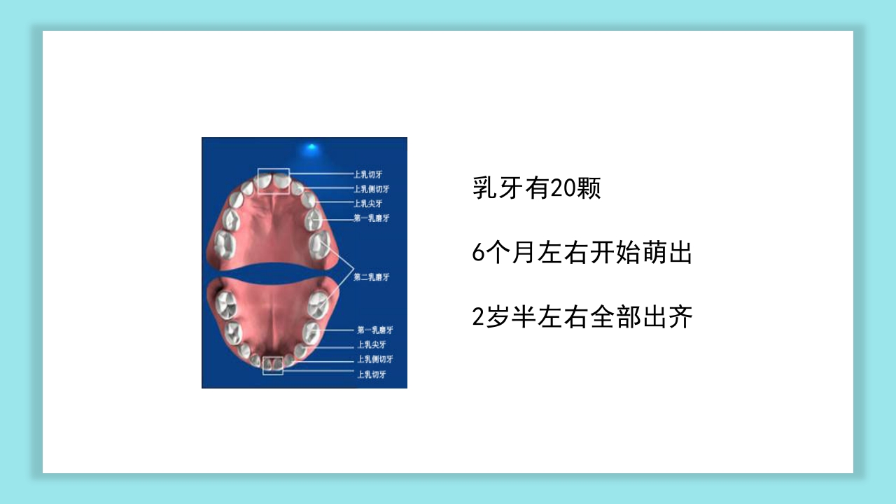 口腔健康知识讲座PPT课件5