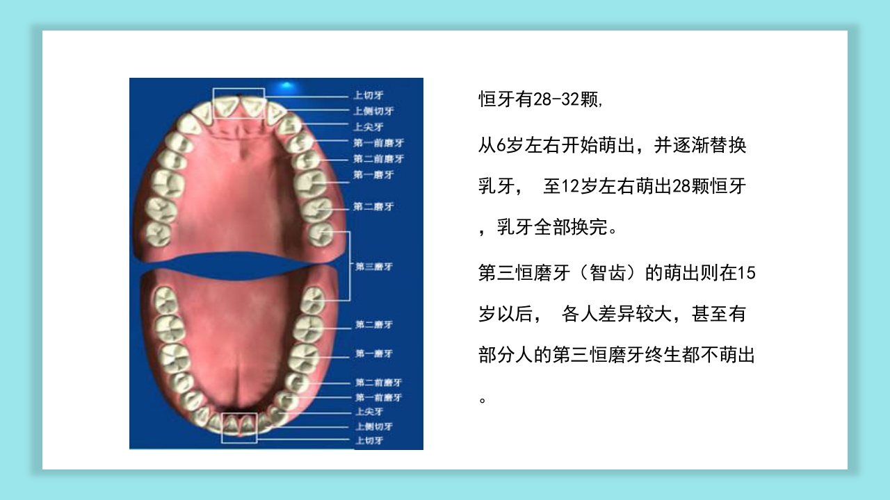 口腔健康知识讲座PPT课件6