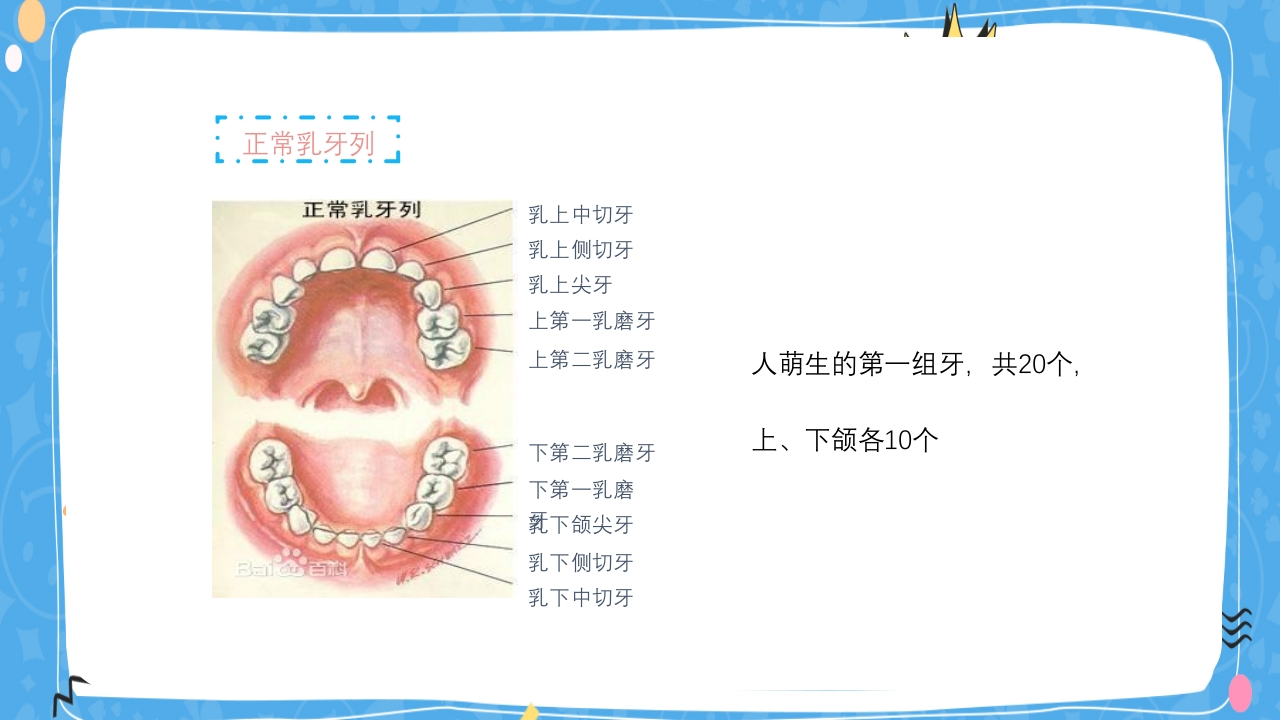 婴幼儿口腔保健知识PPT课件4
