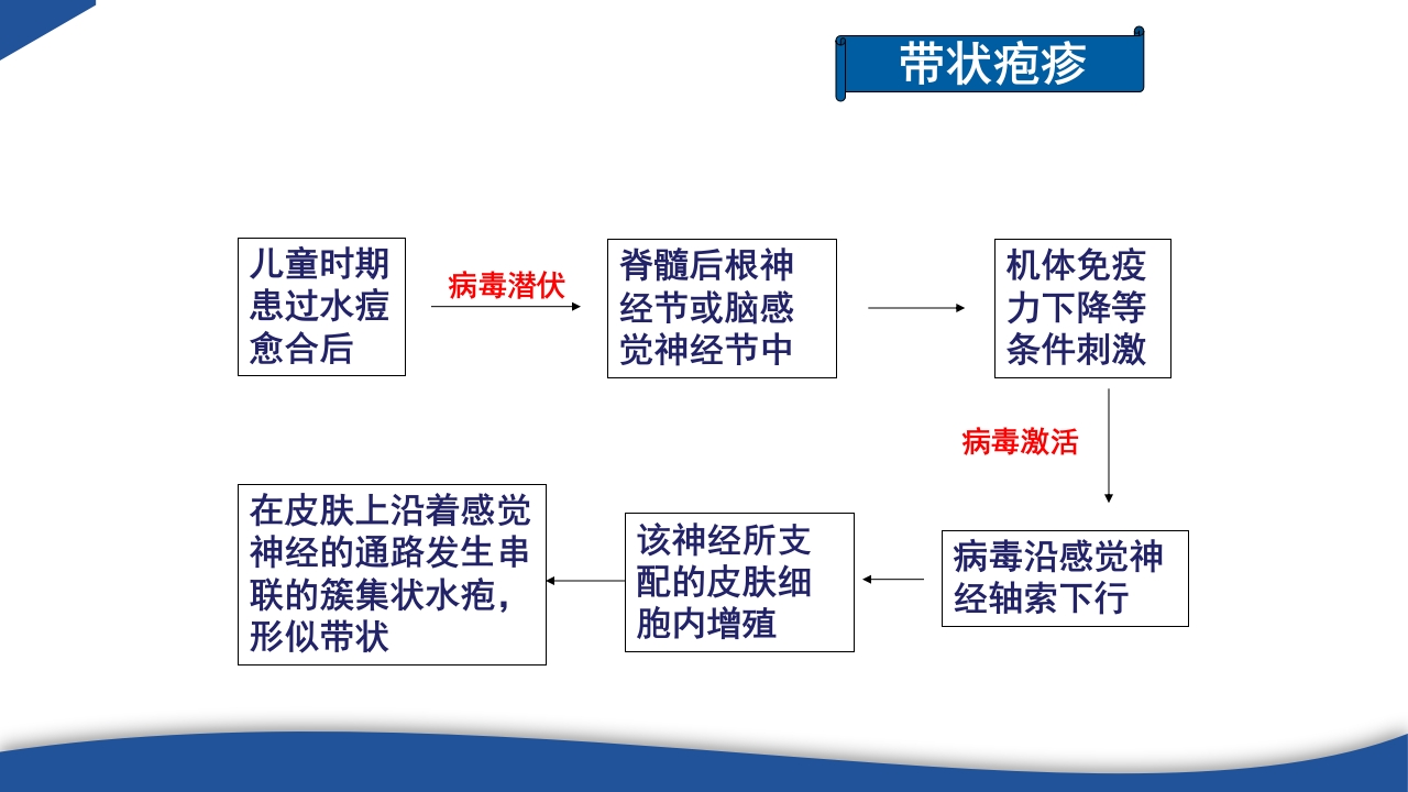 带状疱疹教学PPT课件12