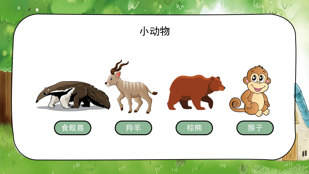《认识小动物》幼儿园公开课教学PPT课件12