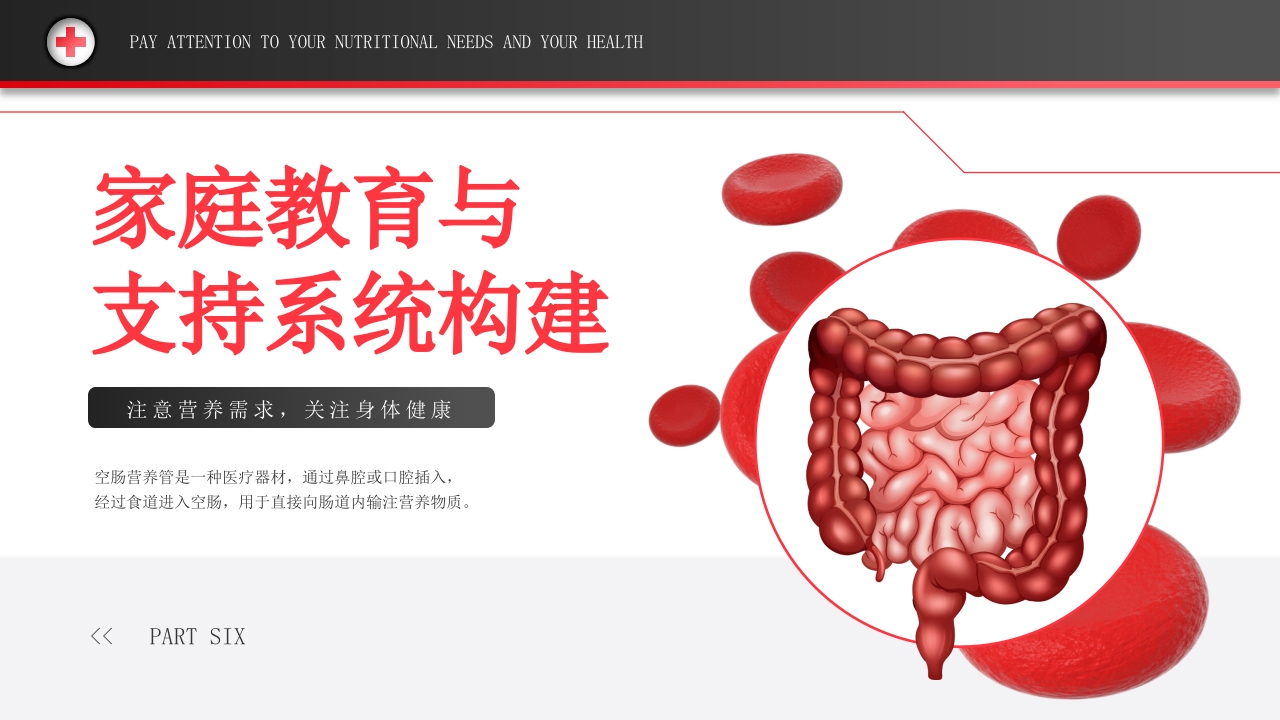 空肠营养管的护理PPT课件23