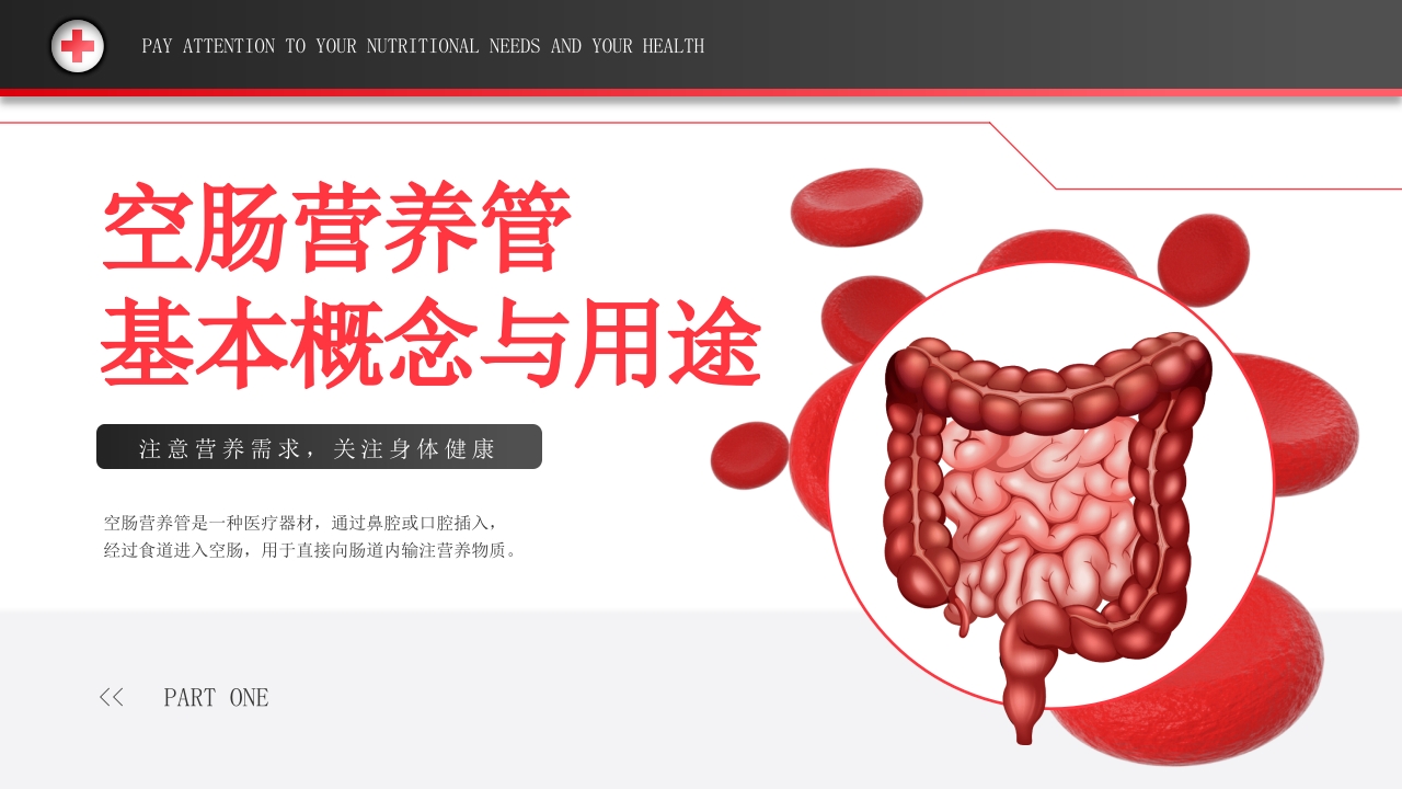 空肠营养管的护理PPT课件3