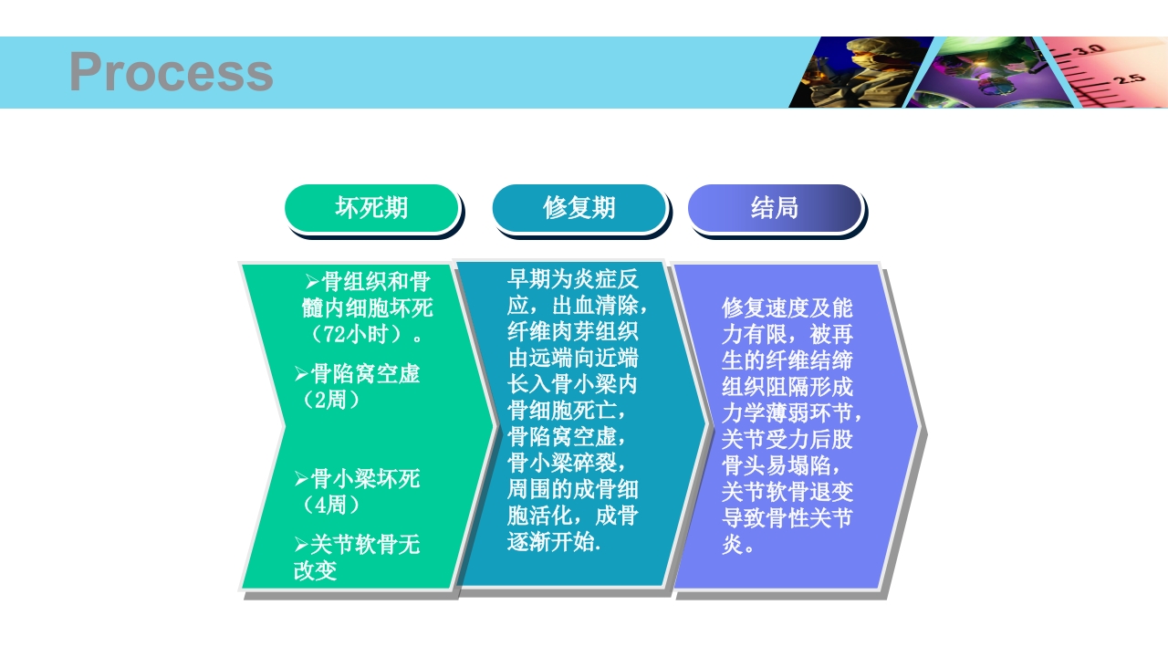 股骨头无菌性坏死PPT课件11