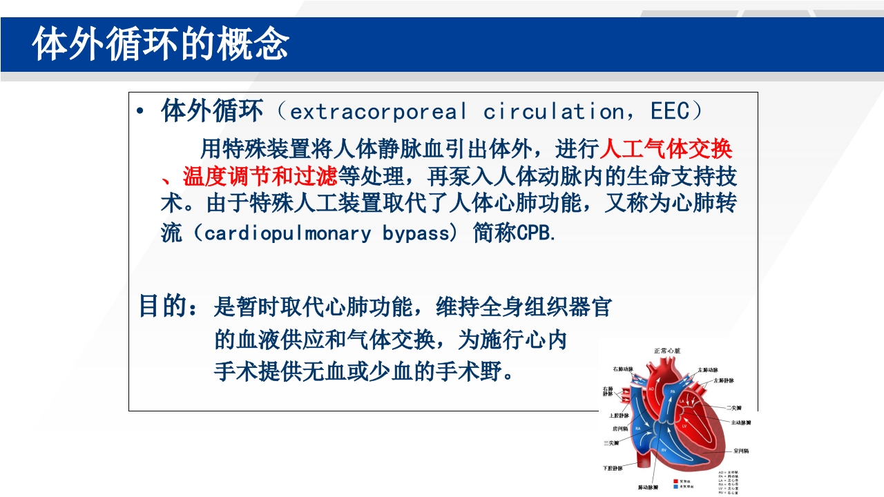 心脏瓣膜置换术后护理PPT课件22