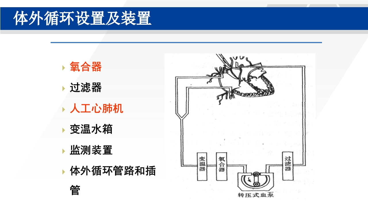 心脏瓣膜置换术后护理PPT课件23