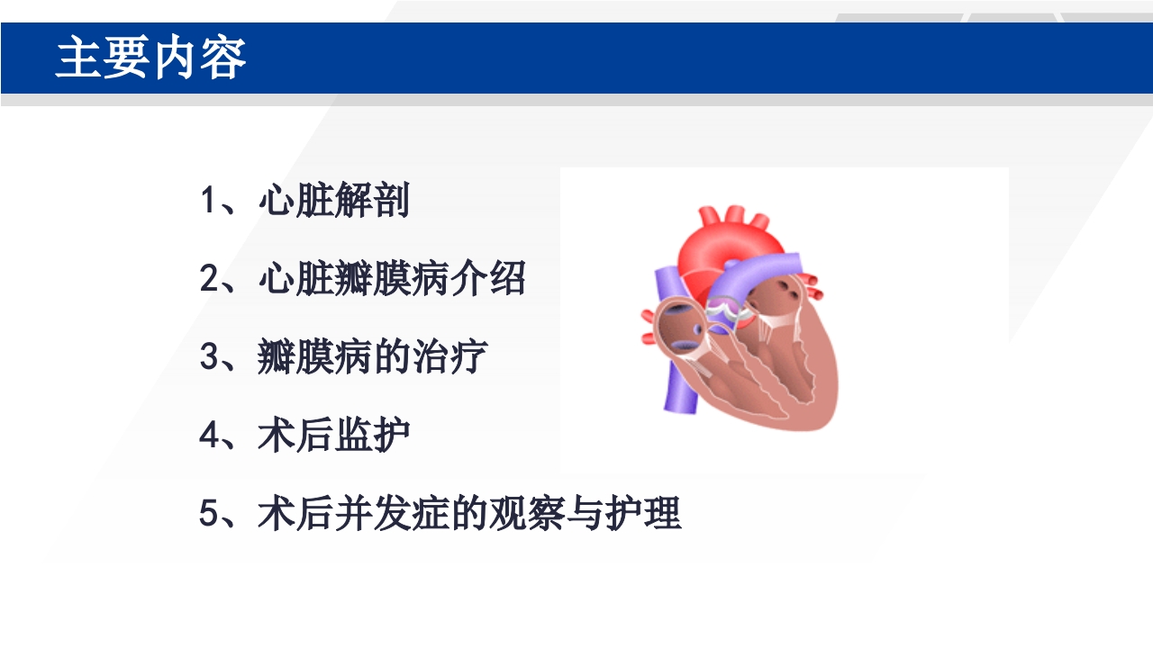 心脏瓣膜置换术后护理PPT课件2