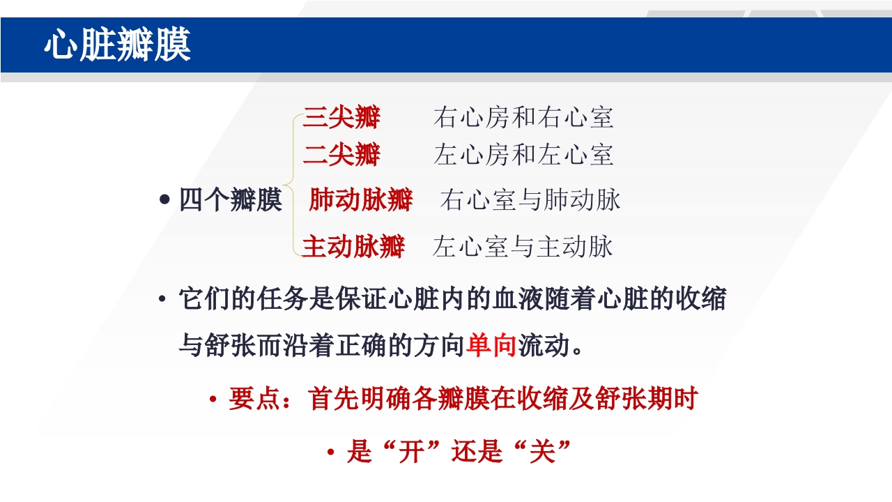 心脏瓣膜置换术后护理PPT课件5