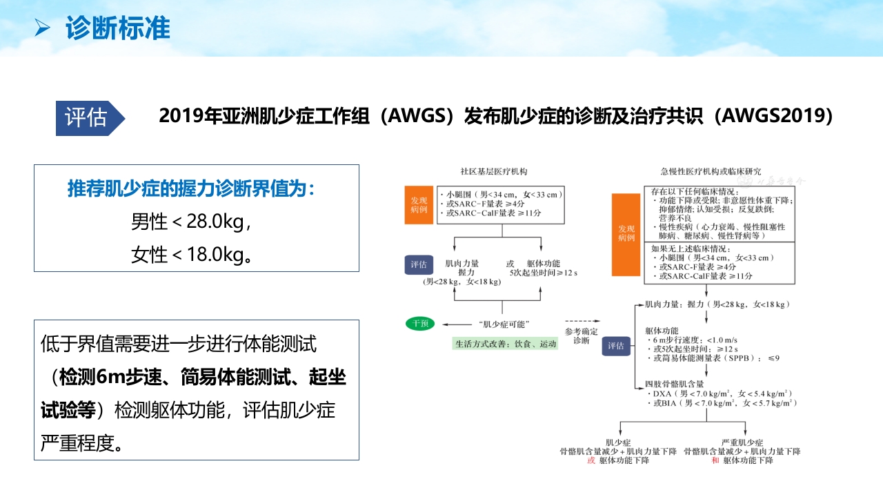 老年肌少症PPT课件14