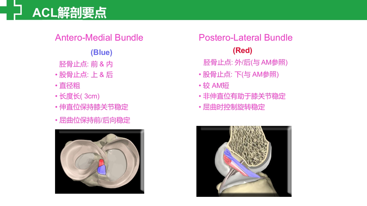 前交叉韧带损伤诊治护理查房PPT课件6
