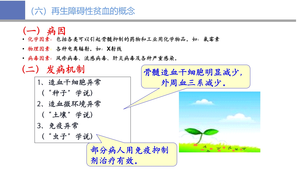 贫血病人的护理PPT课件26