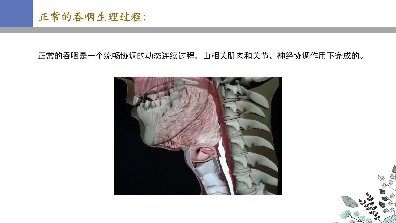 吞咽障碍PPT课件11