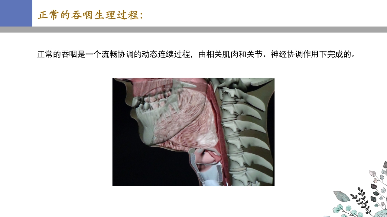 吞咽障碍PPT课件12