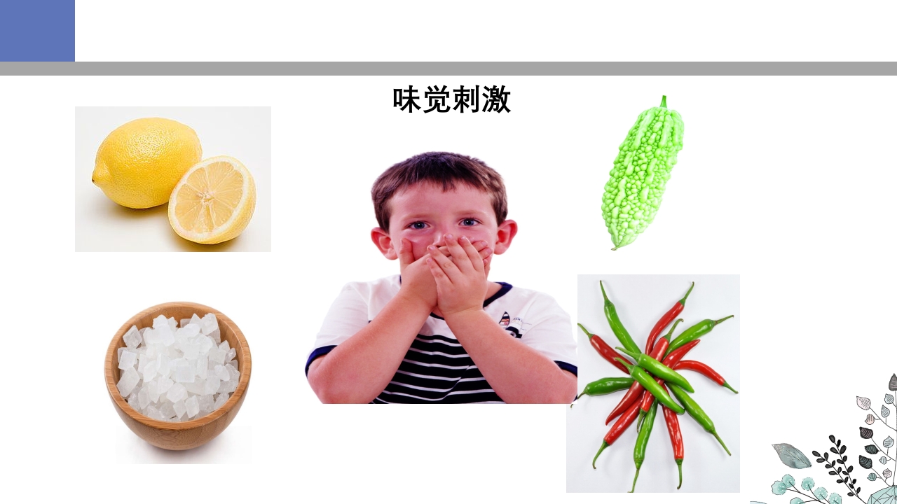 吞咽障碍PPT课件34