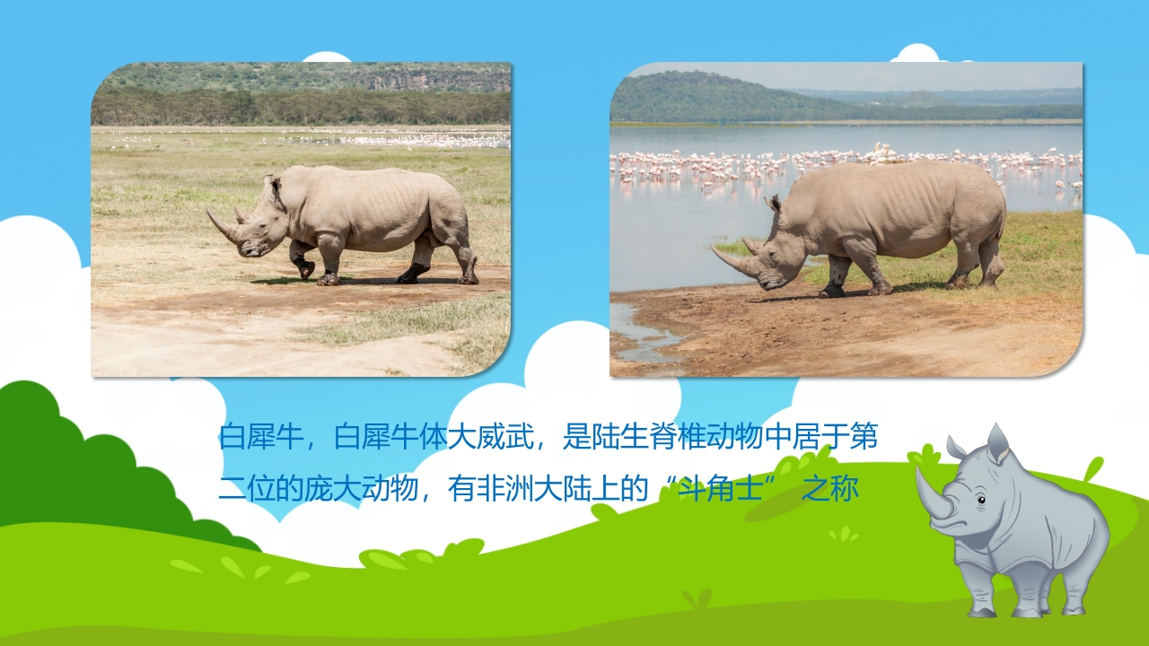 《草原上的动物》幼儿园小班科学活动PPT课件9