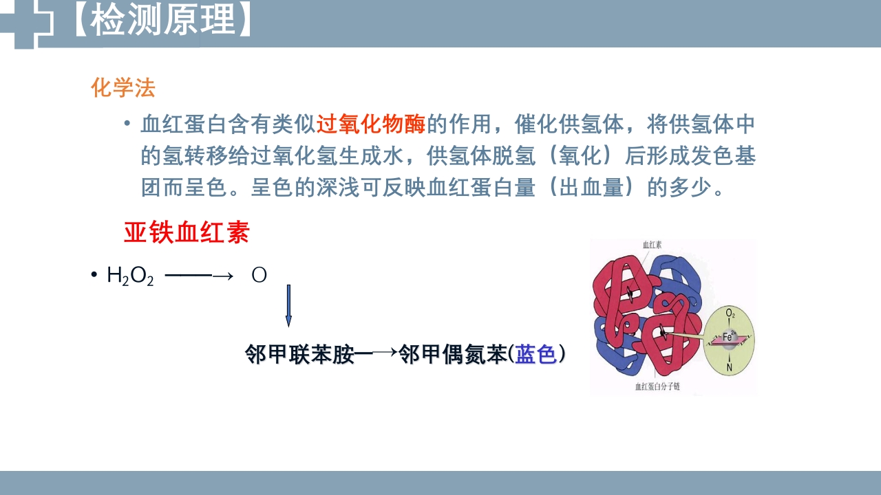 粪便检查PPT课件14