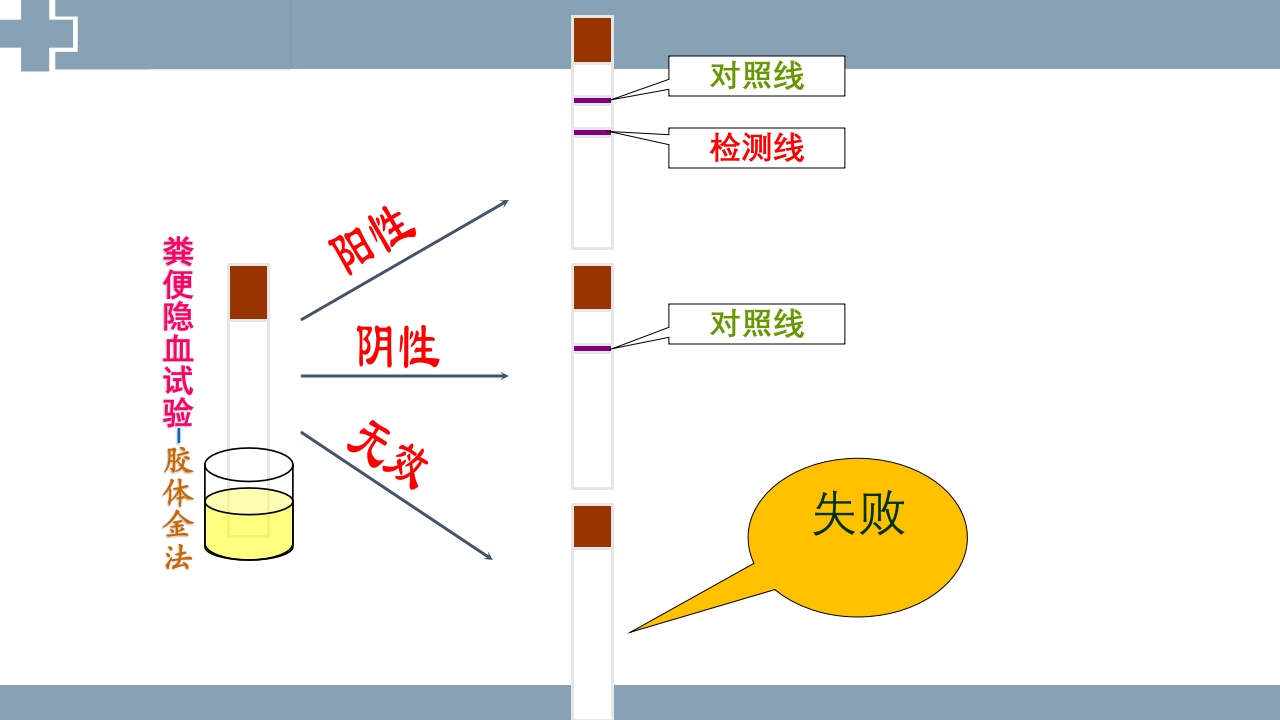粪便检查PPT课件16