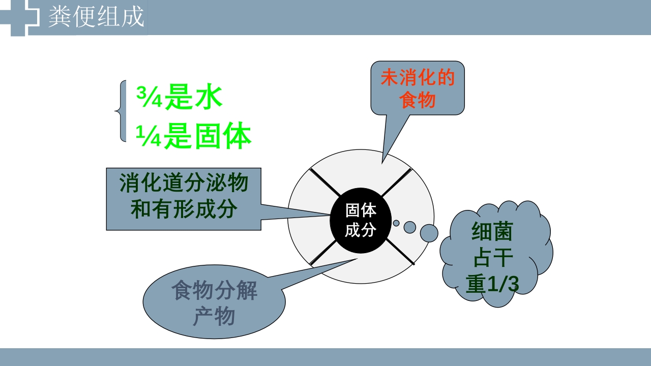 粪便检查PPT课件2