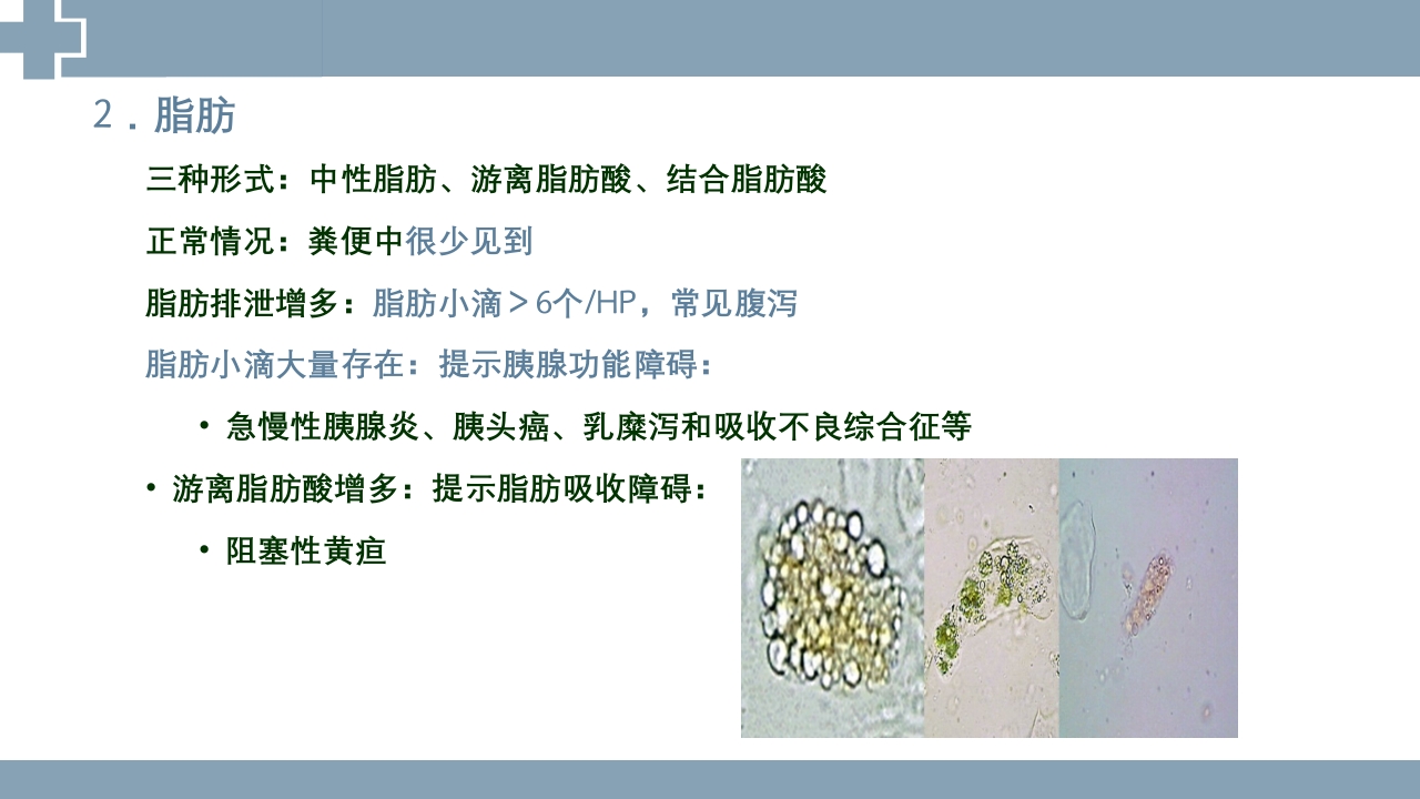 粪便检查PPT课件35