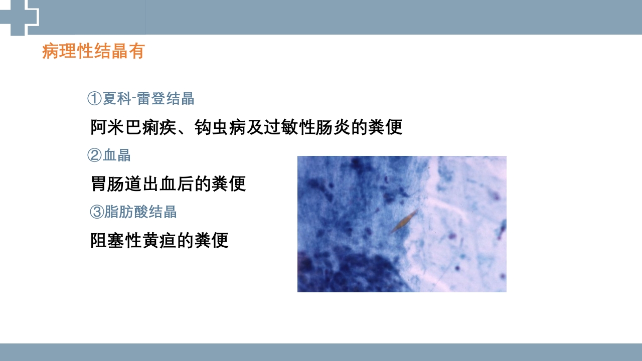 粪便检查PPT课件41