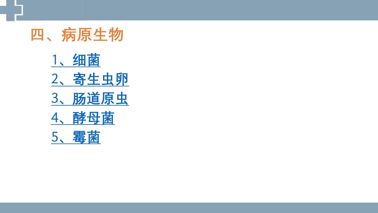 粪便检查PPT课件42