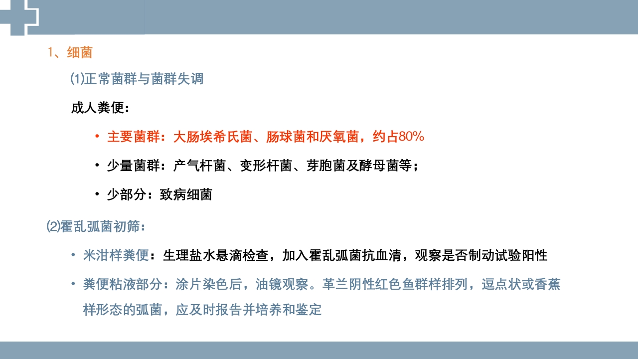 粪便检查PPT课件43