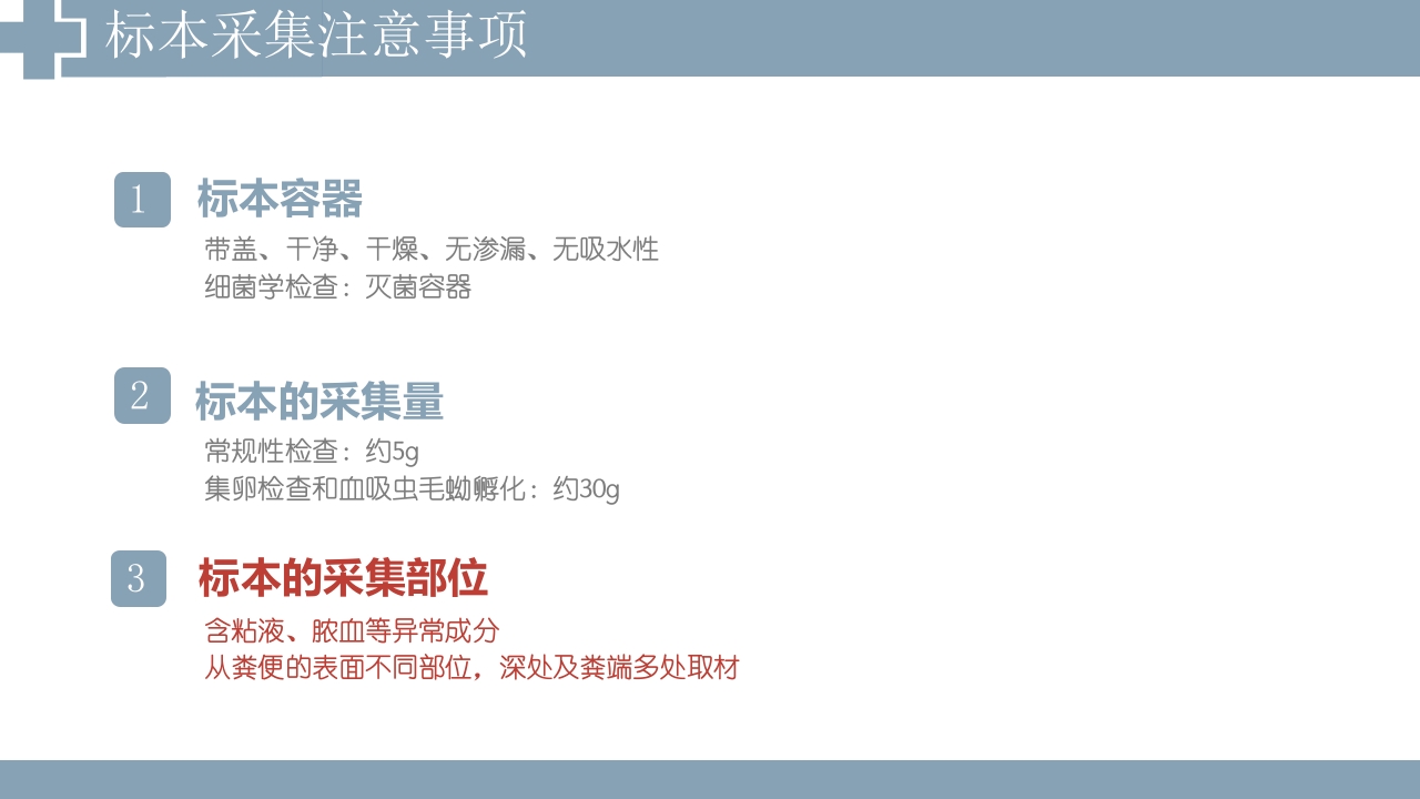 粪便检查PPT课件4