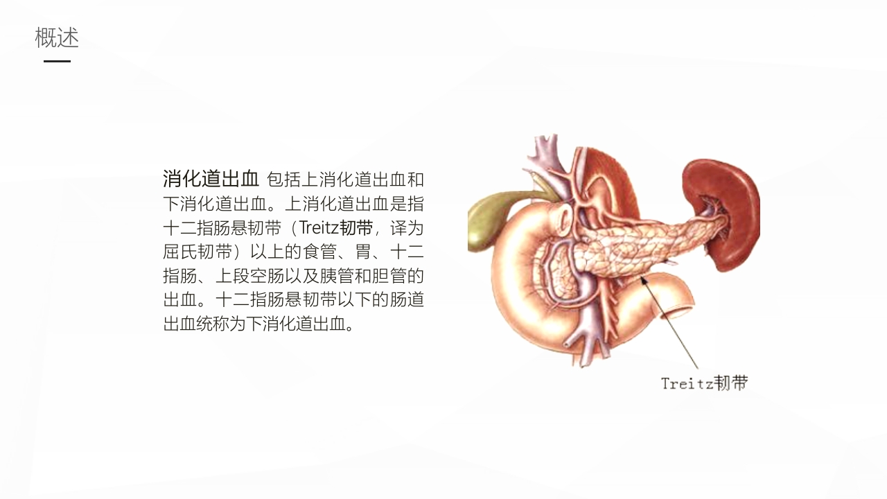 消化道出血护理业务学习PPT课件4