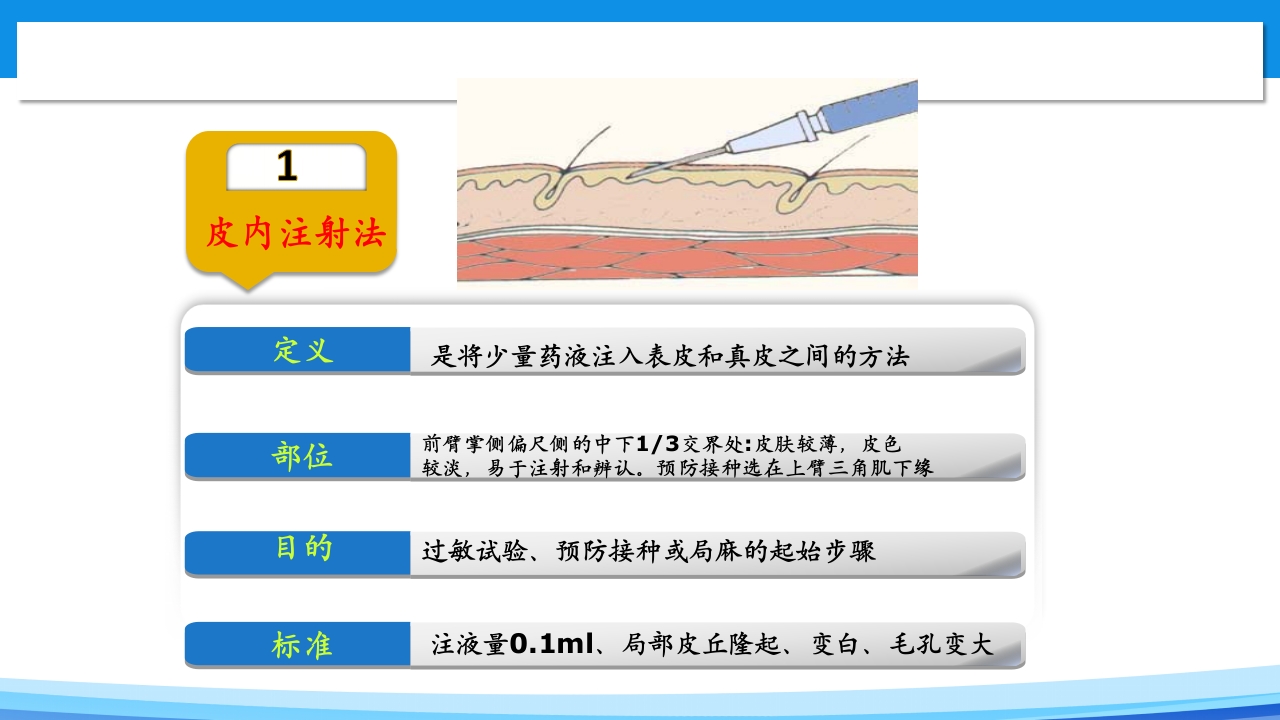 皮内注射PPT课件2