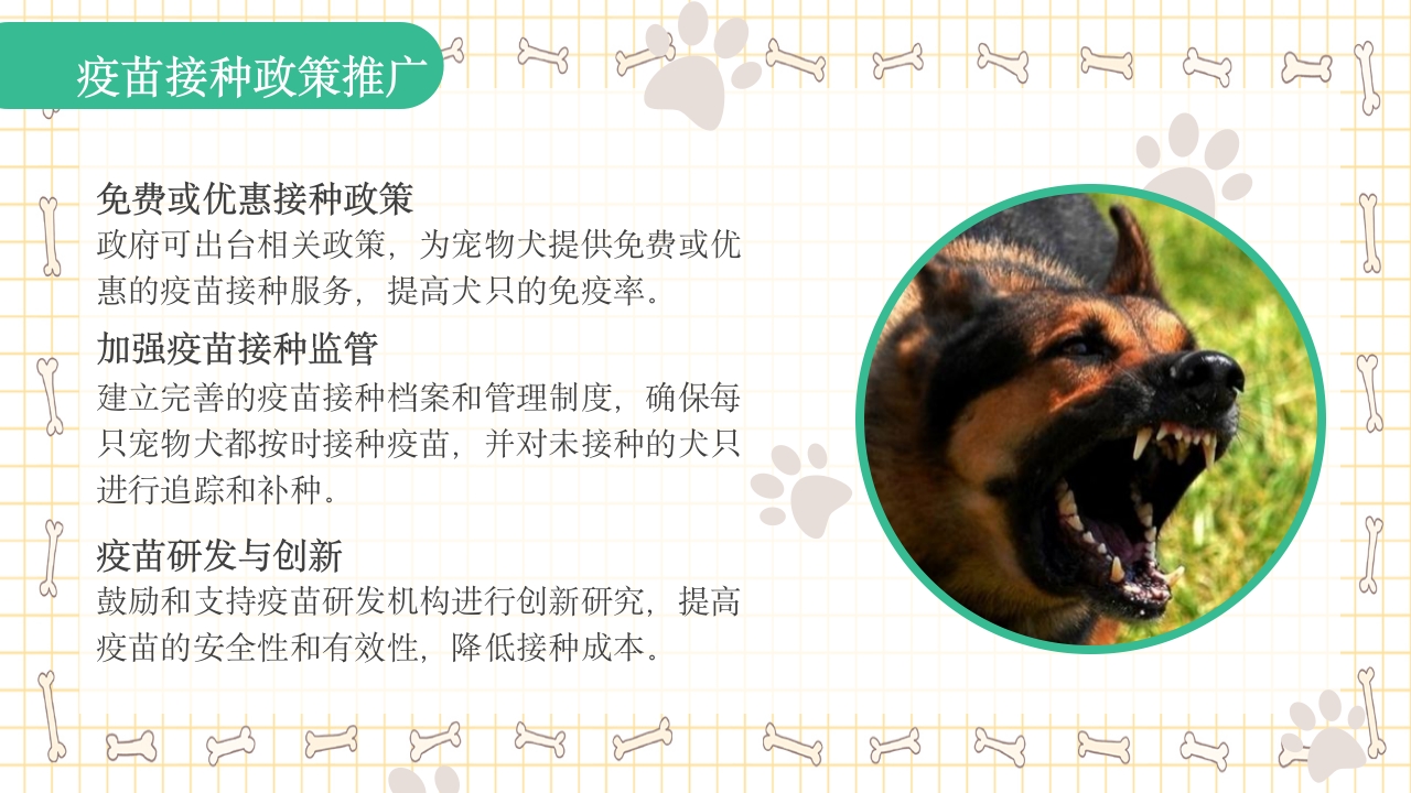 狂犬病知识科普PPT课件20