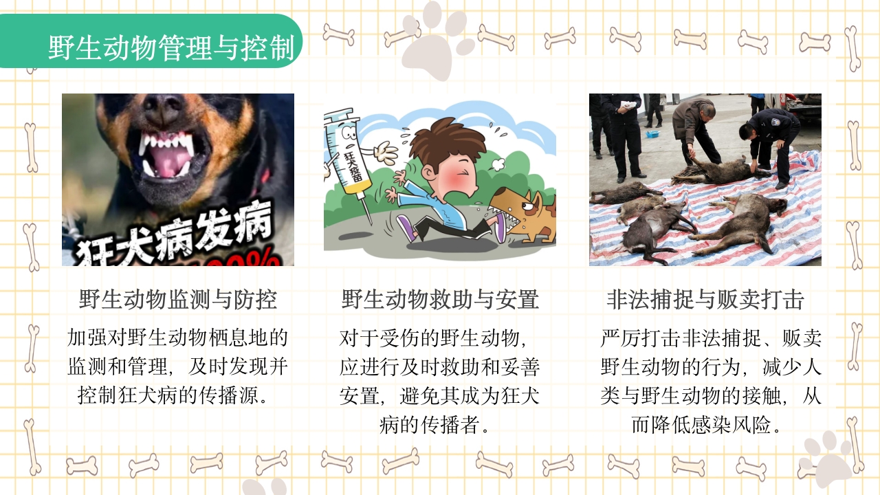 狂犬病知识科普PPT课件21