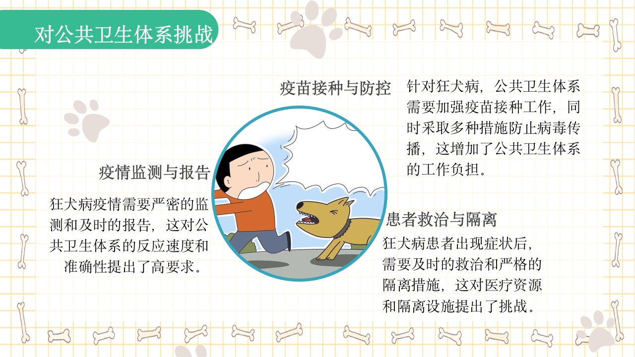 狂犬病知识科普PPT课件24