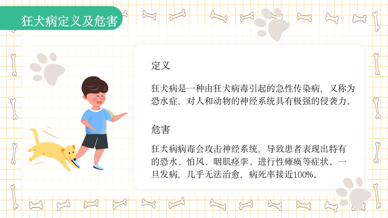 狂犬病知识科普PPT课件4