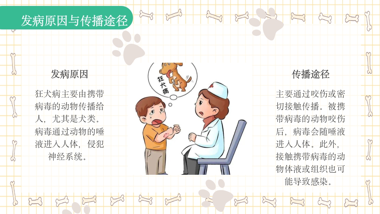 狂犬病知识科普PPT课件5