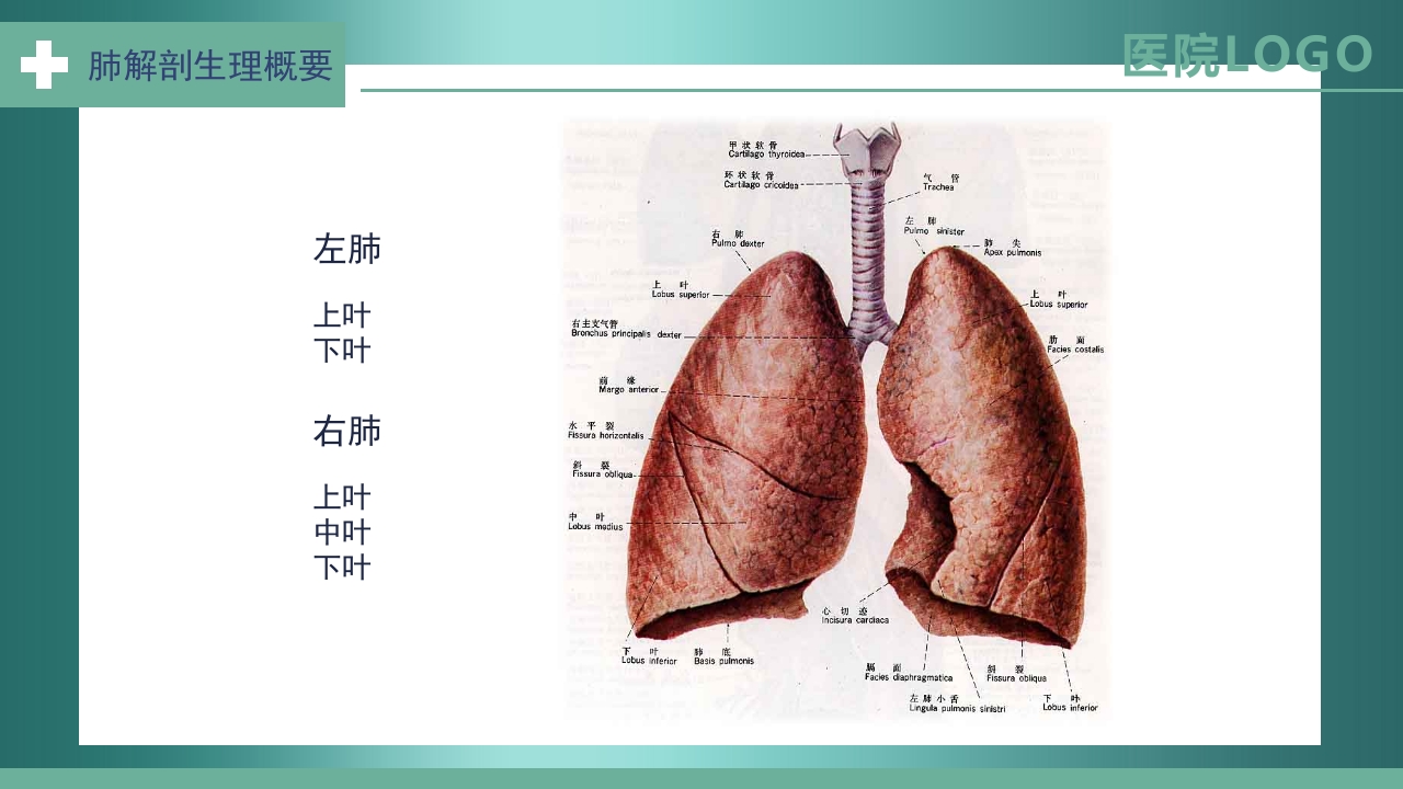 肺癌护理查房PPT课件2