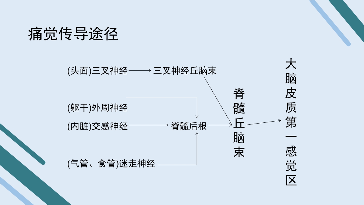 疼痛护理查房PPT课件10