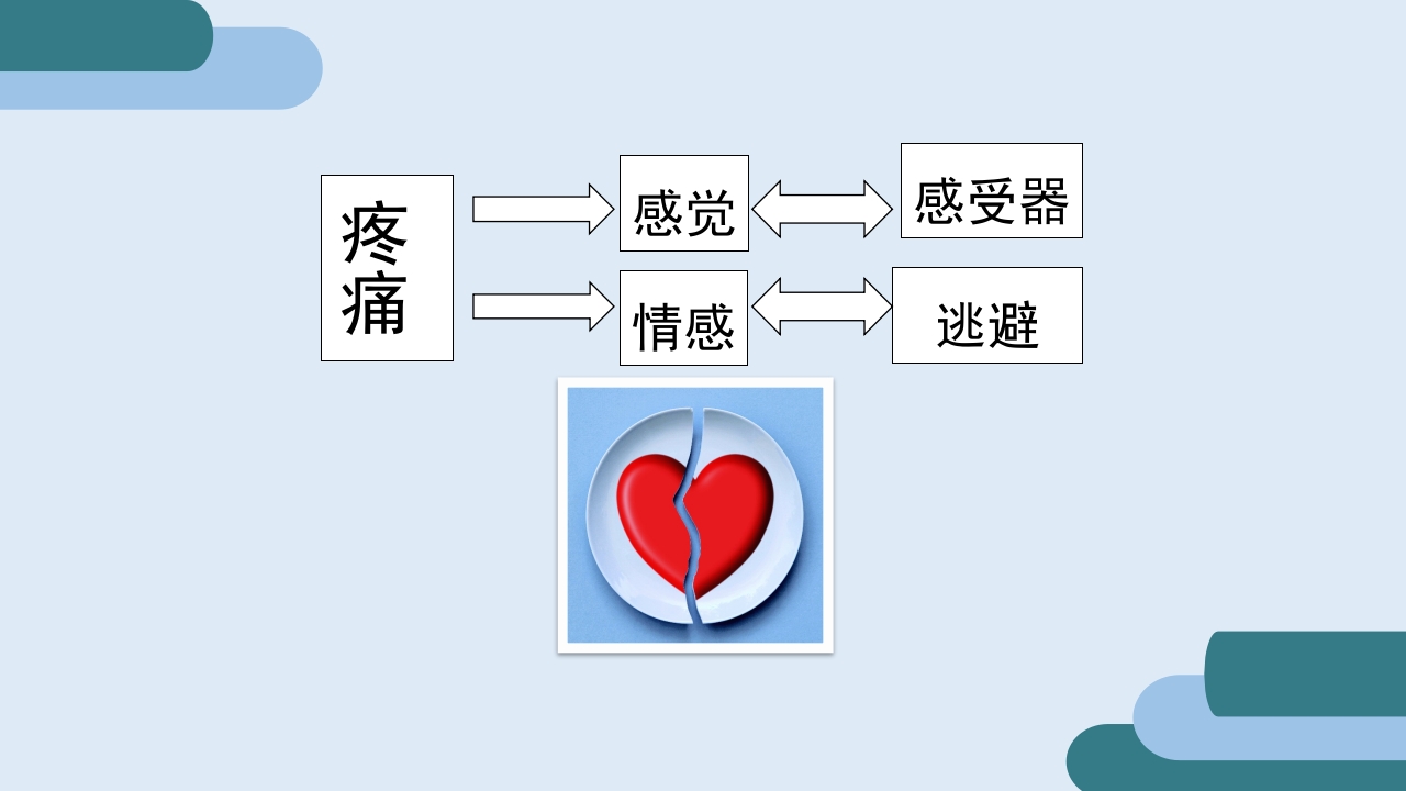 疼痛护理查房PPT课件18