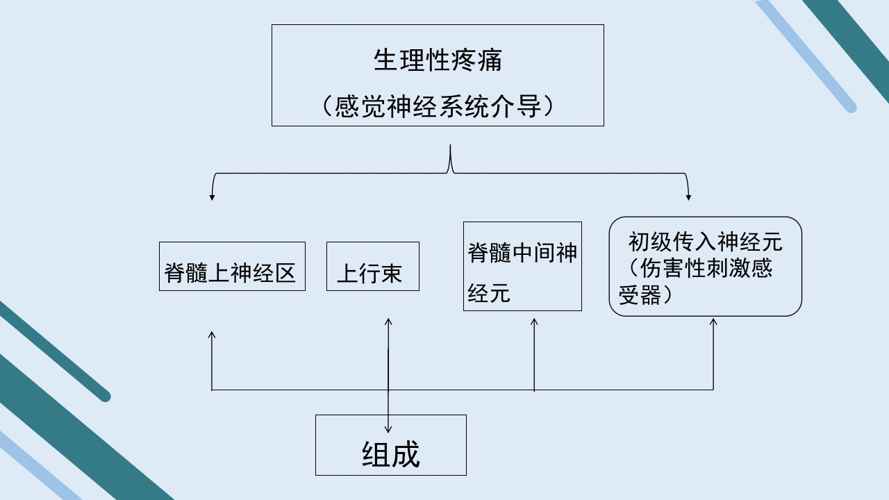 疼痛护理查房PPT课件6