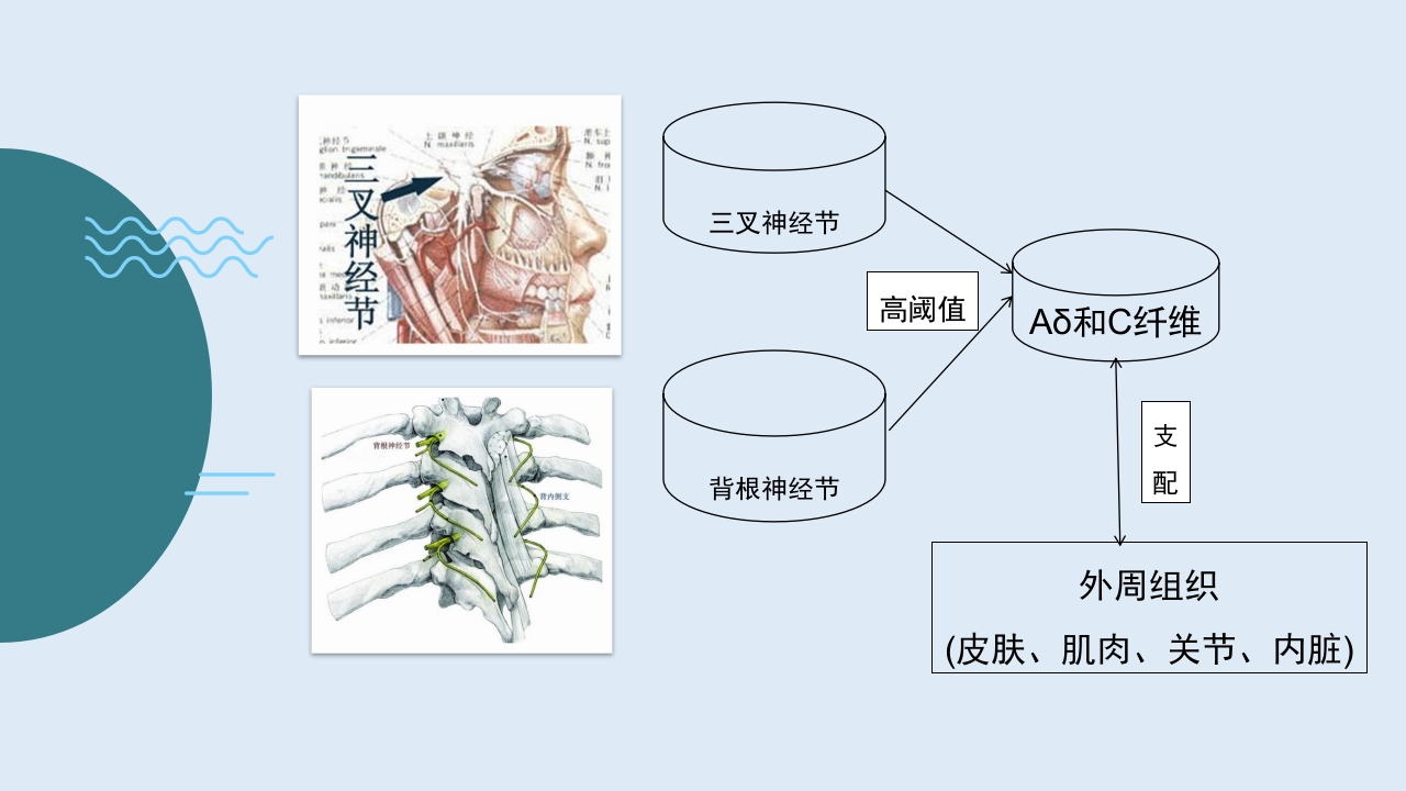 疼痛护理查房PPT课件7