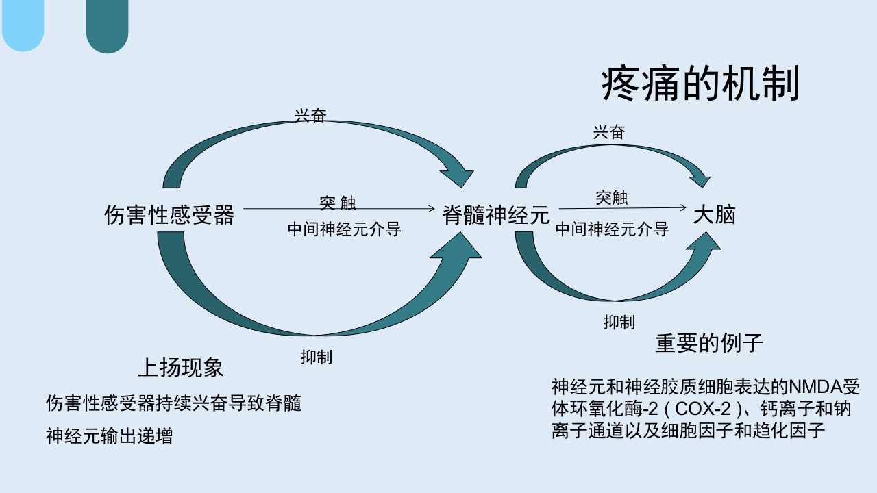 疼痛护理查房PPT课件9
