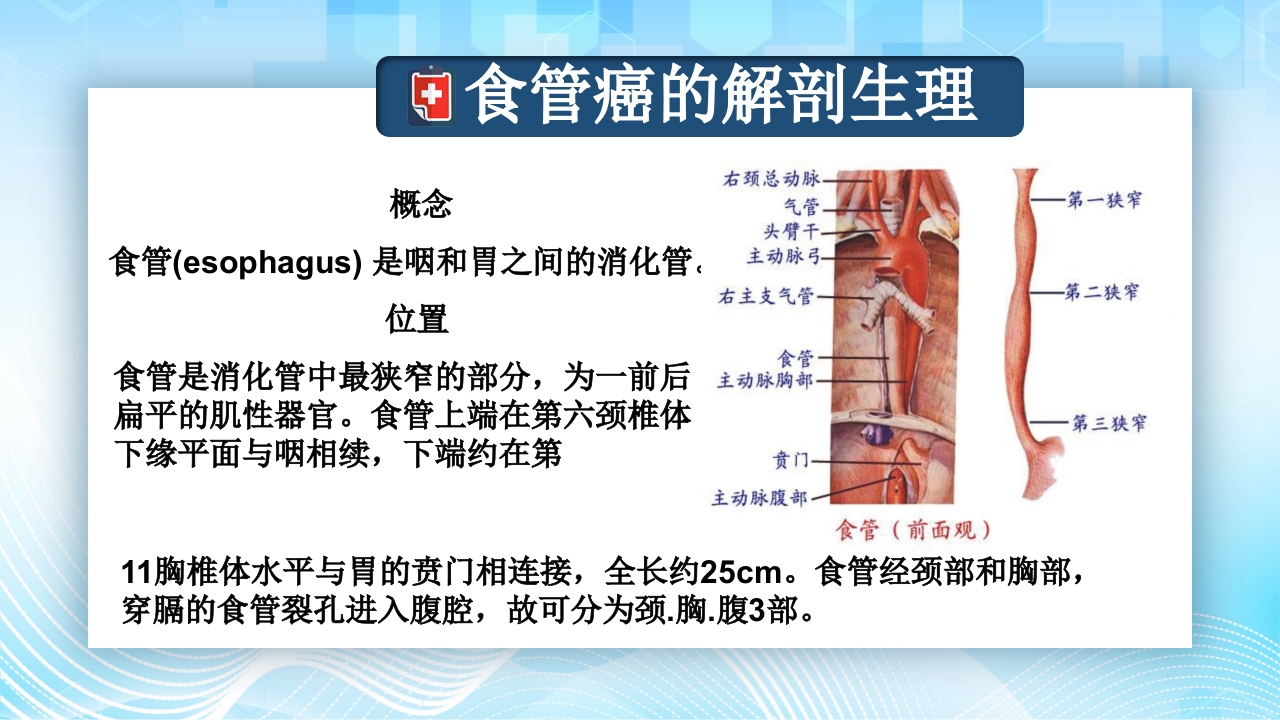 食管癌的护理查房PPT课件6